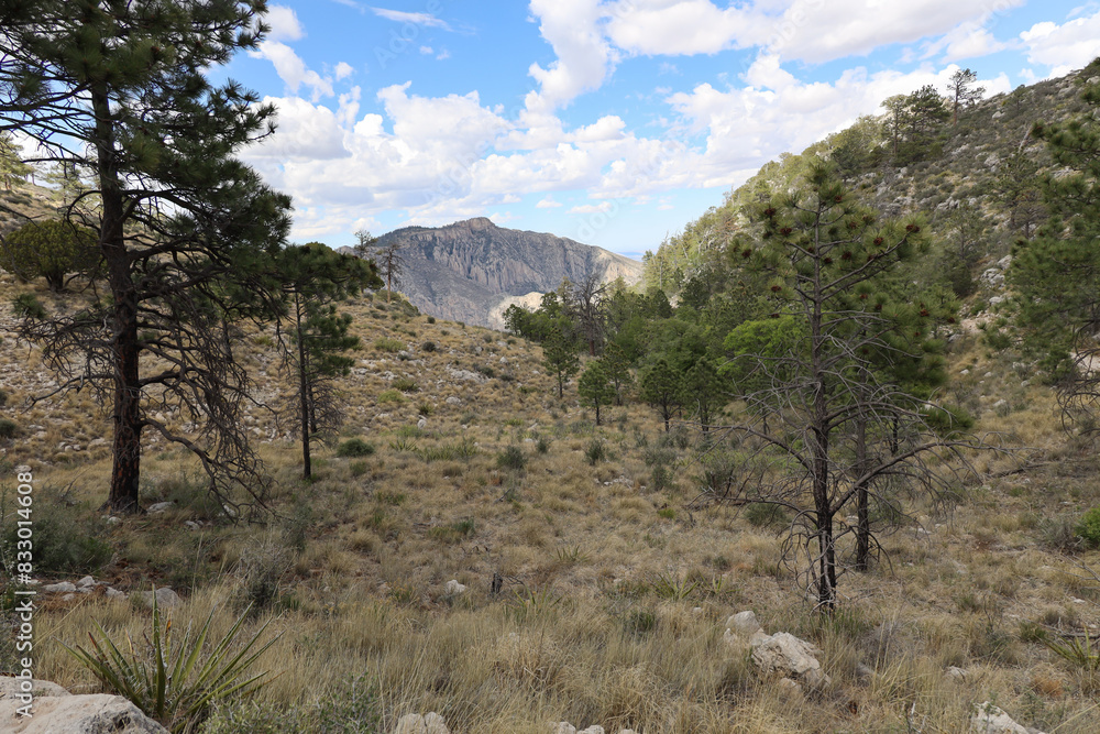 View from Guadalupe Peak Trail at Guadalupe Mountains National Park, Texas View from Guadalupe Peak Trail at Guadalupe Mountains National Park, Texas