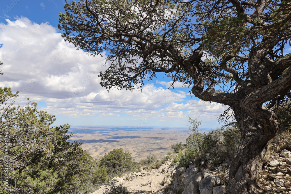 View from Guadalupe Peak Trail at Guadalupe Mountains National Park, Texas View from Guadalupe Peak Trail at Guadalupe Mountains National Park, Texas