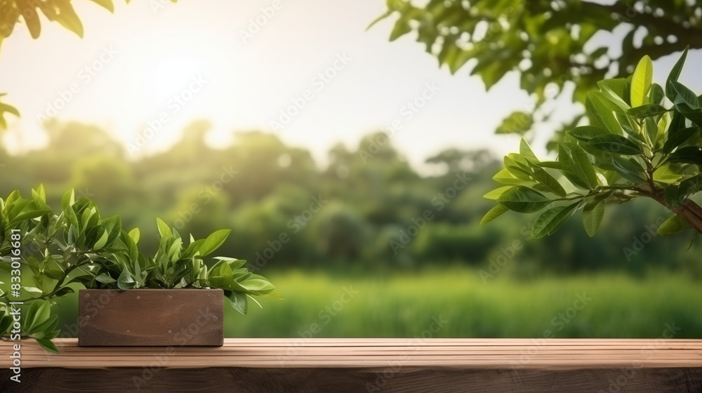 Tree Table wood Podium in farm display for food, perfume, and other products on nature background, Table in farm with grass, Sunlight at morning Tree Table wood Podium in farm display for food, perfume, and other products on nature background, Table in farm with grass, Sunlight at morning