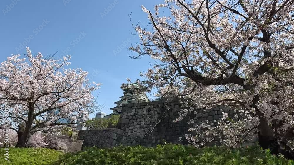 Osaka Castle Surrounded by Cherry Blossoms in Osaka, Japan - Sideways Shot Osaka Castle Surrounded by Cherry Blossoms in Osaka, Japan - Sideways Shot
