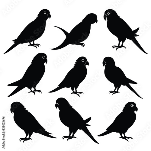 Set of Budgerigar animal black silhouettes vector on white background