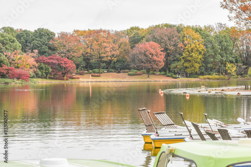 Landscape View Of Ginkgo Biloba Branches With Golden Leaves And Maple Red By The Lake In The Autumn, Showa Kinen Memorial Park, Midorimachi,Tachikawa, Japan photo