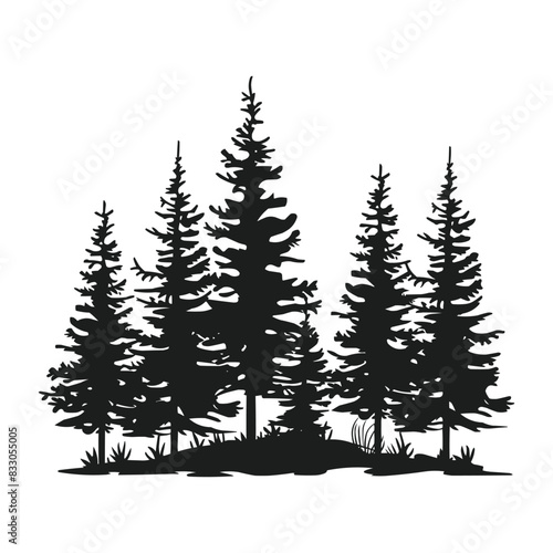 Pine trees silhouette vector