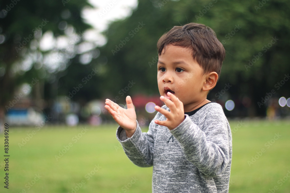 A handsome young boy, nicely dressed showing an expression of joy with hands up in the air looking excited and happy to be playing outdoors.
A handsome young boy, nicely dressed showing an expression of joy with hands up in the air looking excited and happy to be playing outdoors.
