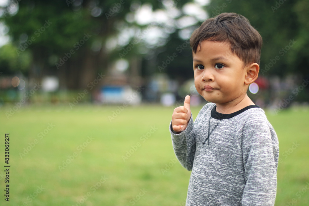 A handsome young boy, nicely dressed showing an expression of joy with hands up in the air looking excited and happy to be playing outdoors.
A handsome young boy, nicely dressed showing an expression of joy with hands up in the air looking excited and happy to be playing outdoors.