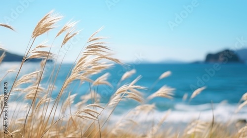 Dry grass blowing in the wind against the background of the sea and clear blue sky. 