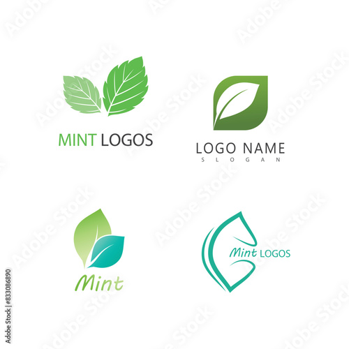 Mint leaf logo vector element template and symbol