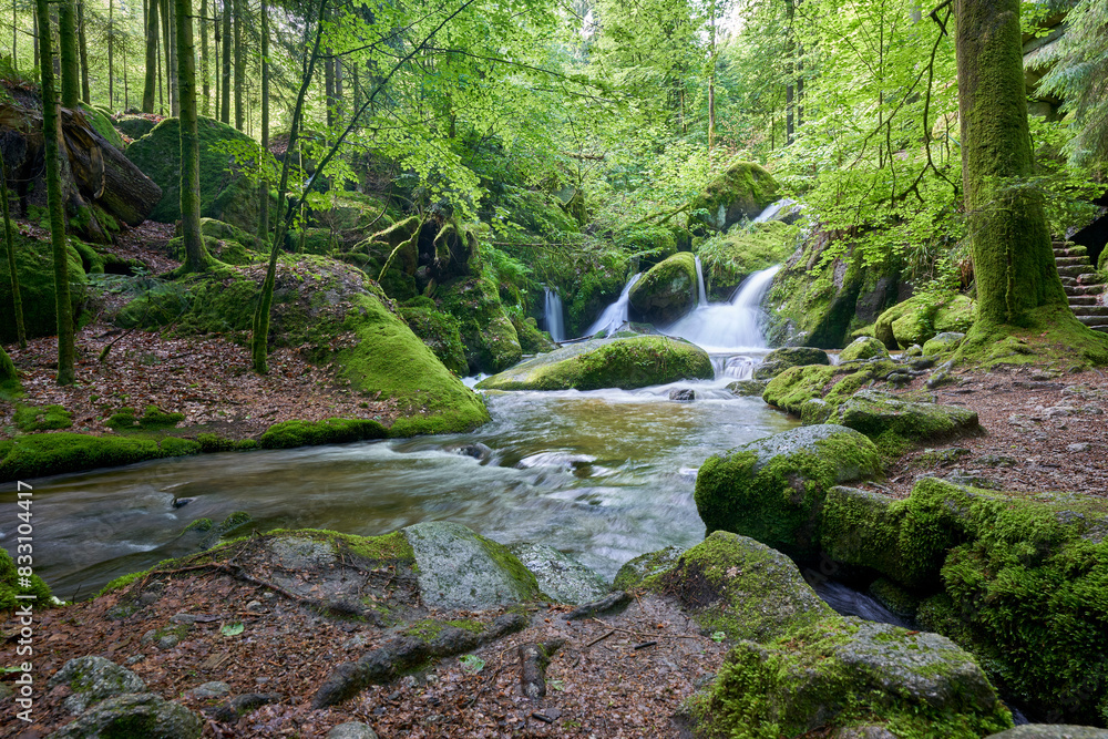 Serene forest scene, small waterfall cascading over moss-covered rocks into a gentle stream, surrounded by lush greenery, dense canopy overhead. Europe, Germany, Black Forest, Buhlertal, Gertelbach. Serene forest scene, small waterfall cascading over moss-covered rocks into a gentle stream, surrounded by lush greenery, dense canopy overhead. Europe, Germany, Black Forest, Buhlertal, Gertelbach.