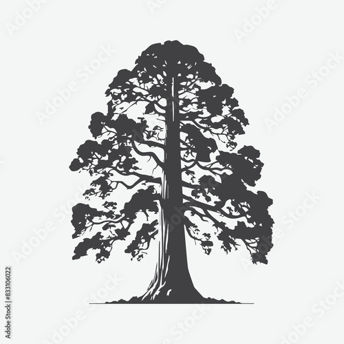 Print Majestic Silhouette of the Sequoia Tree, A Timeless Icon of Nature's Grandeur