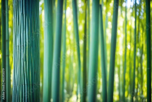 green bamboo background