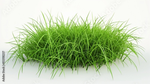 A lush green grass, freshly cut and vibrant, set isolated on a clean white background.