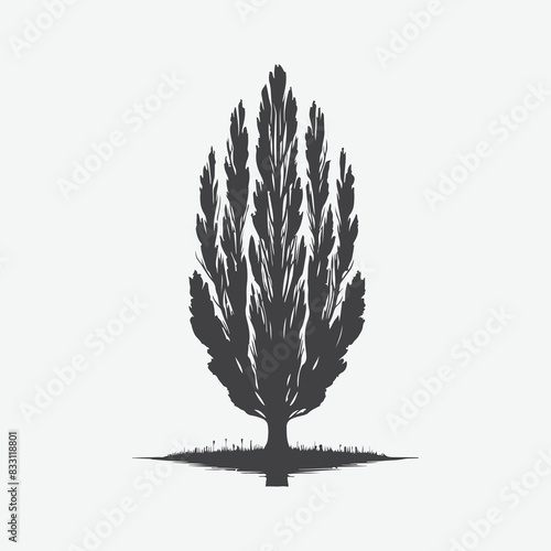 Print Majestic Poplar Tree Silhouette Against the Sky, A Timeless Natural Beauty