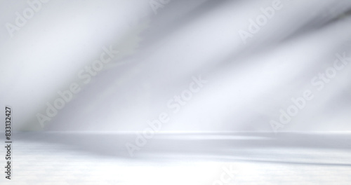 abstract Shadow and light from tree on white background