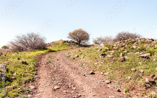 Tourist  trail at the beginning of the route in the Yehudia National Nature Park in northern Israel photo