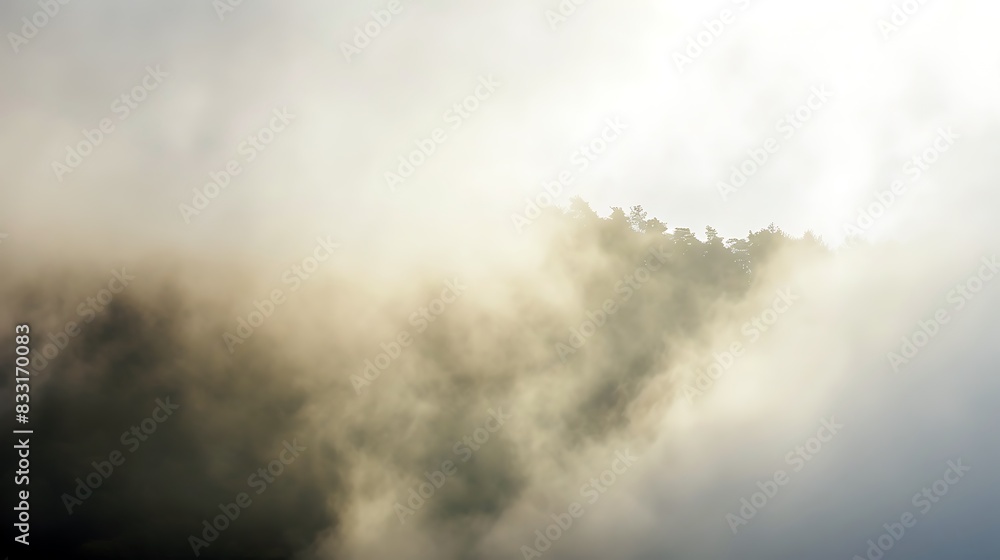 Fog in the nature with sunlight morning