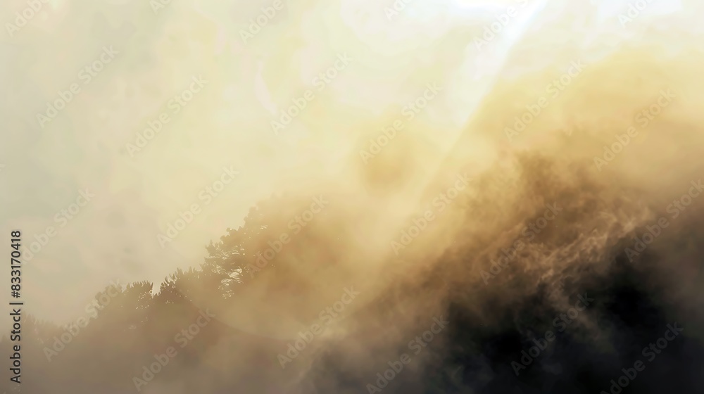 Fog in the nature with sunlight morning Fog in the nature with sunlight morning