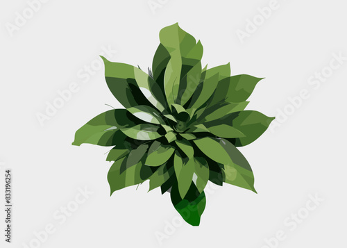 Exotic flora and vegetation of rainforests and jungles, isolated tropical leaves. Set of banana and palmetto, palm and monstera branches. Botany and decoration in realistic 3d cartoon vector