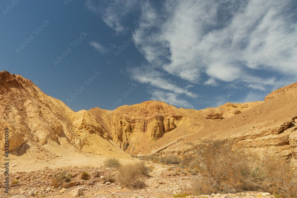 Journey through the Negev Desert Journey through the Negev Desert
