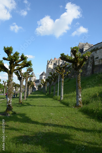 Saint Aignan - Loir et Cher - France photo