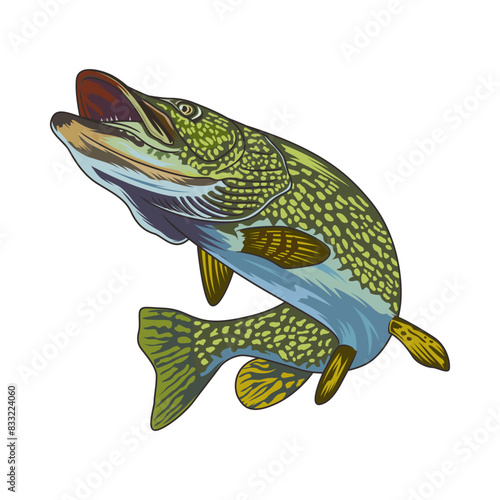 pike fishing illustration logo vector image t shirt