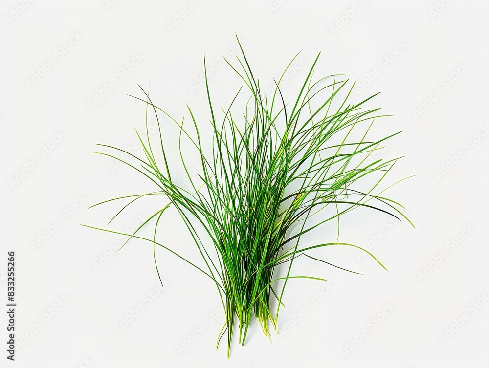 Minimalist tuft of grass icon portrait Minimalist tuft of grass icon portrait