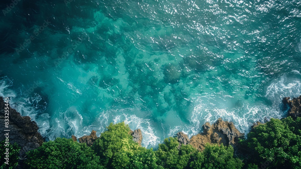 Aerial drone top view of ocean beautiful waves and rocky coast with greenery Aerial drone top view of ocean beautiful waves and rocky coast with greenery