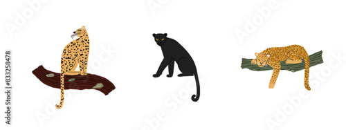 Set of wild jungle cats. Wild nature, animals, rainforest. Hand drawn vector illustration.