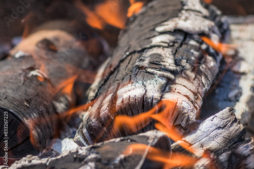 A close up of a log burning in a fire with flames emerging from it © decorator