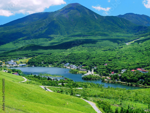 霧ヶ峰の草原と蓼科山と白樺湖