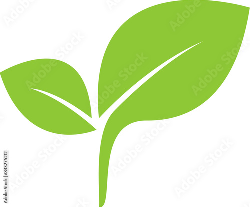 Nature Leaf Icon