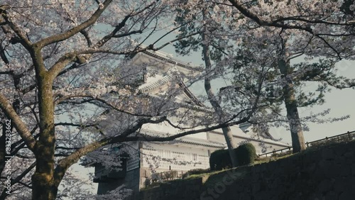Wallpaper Mural Stunning Odawara Castle Behind Cherry Blossoms On A Sunny Day In Hakone, Japan. low angle Torontodigital.ca