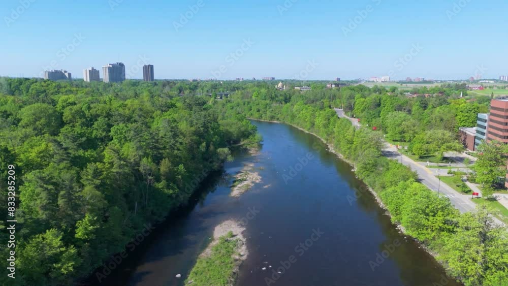 Lush green forest surrounding a serene river aerial view Lush green forest surrounding a serene river aerial view