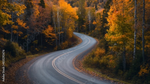 Tranquil scene of a curvy road meandering through a forest adorned with the golden hues of fall foliage