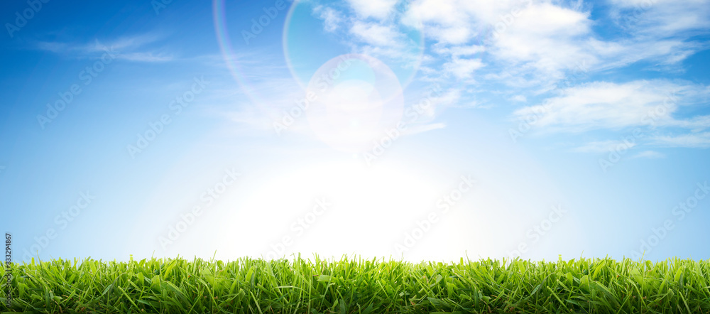 A bright fresh sunny spring, summer blue sky background with white fluffy clouds and freshly cut green grass lawn.