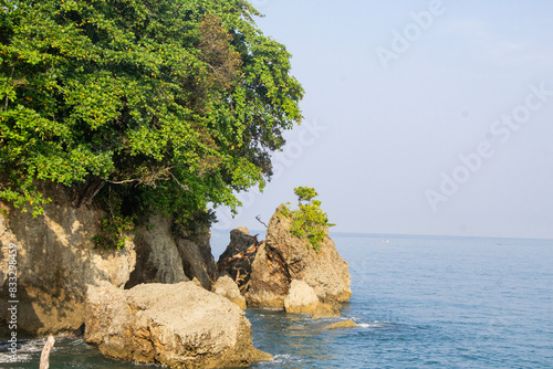 rocky coastal hills and trees towering above the beach with negative blue skies