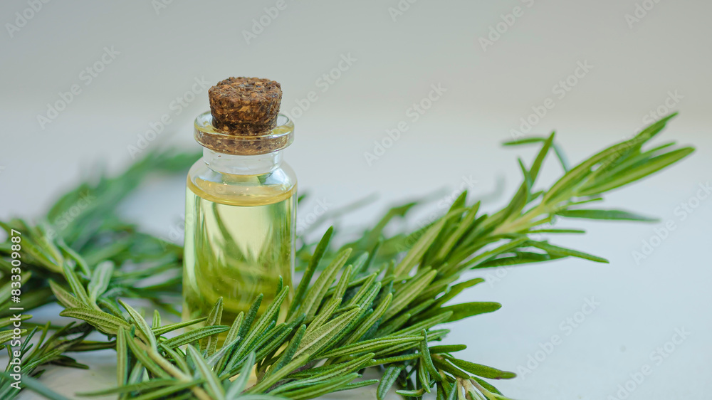 Rosemary essential oil with rosemary herb Rosemary essential oil with rosemary herb
