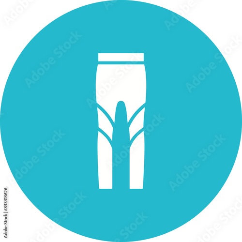 Leggins Icon