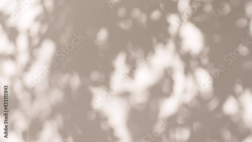 Transparent soft light and shadows from branches, plant, foliage and leaves. Morning sunlight and tree shadows blowing by wind reflecting on wall. Product, advertising. Summer concept. 4k. 