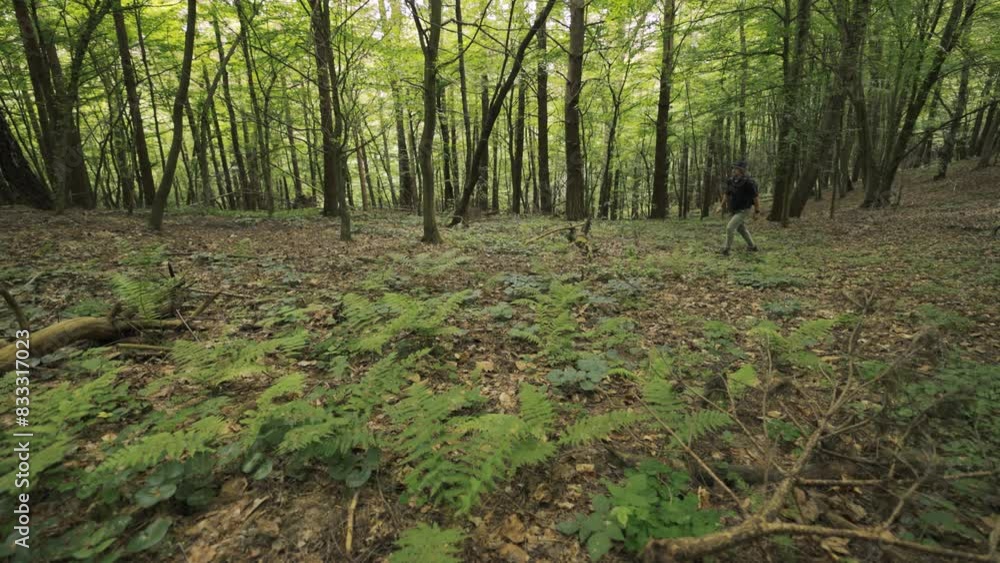 A person is seen walking through a dense forest filled with tall trees and foliage. The individual navigates through the natural environment, surrounded by greenery. A person is seen walking through a dense forest filled with tall trees and foliage. The individual navigates through the natural environment, surrounded by greenery.