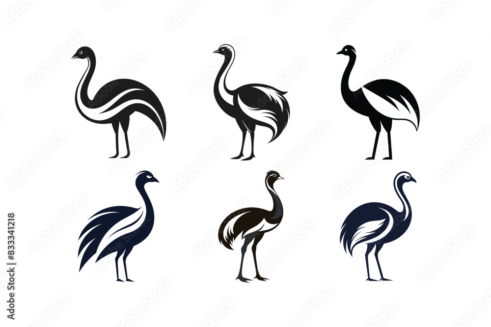 Fototapeta premium sets of ostrich or emu vector art illustration on white background