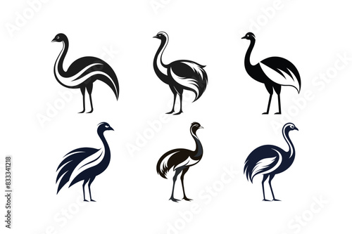 sets of ostrich or emu vector art illustration on white background