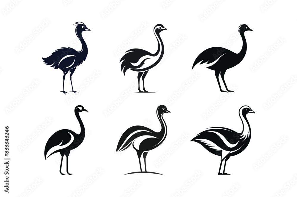 Fototapeta premium sets of ostrich or emu vector art illustration on white background