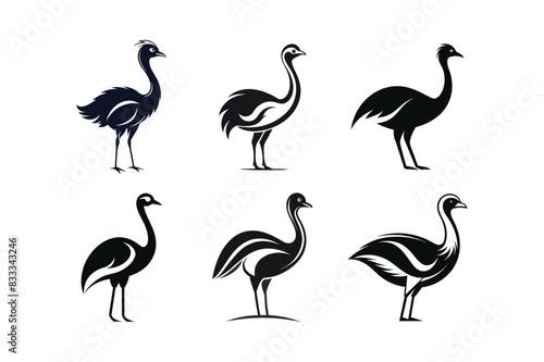 sets of ostrich or emu vector art illustration on white background