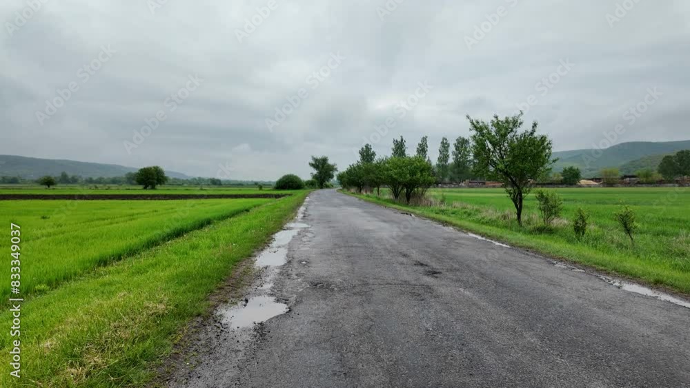 Peaceful Journey: Car on Verdant Rural Path Peaceful Journey: Car on Verdant Rural Path