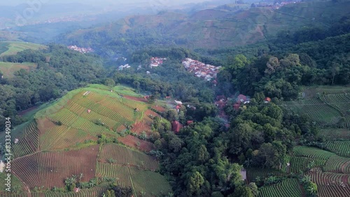 Panyaweuyan plantation with remote town nestled in the terraced agriculture farm crops, Indonesia landscape.  Aerial fly over. photo