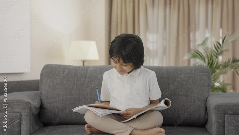 Happy Indian boy reading and studying Happy Indian boy reading and studying