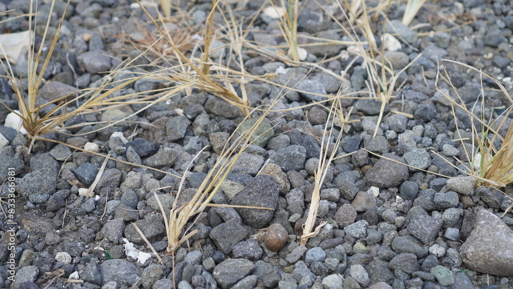 many small gray stones with dry plants close up many small gray stones with dry plants close up
