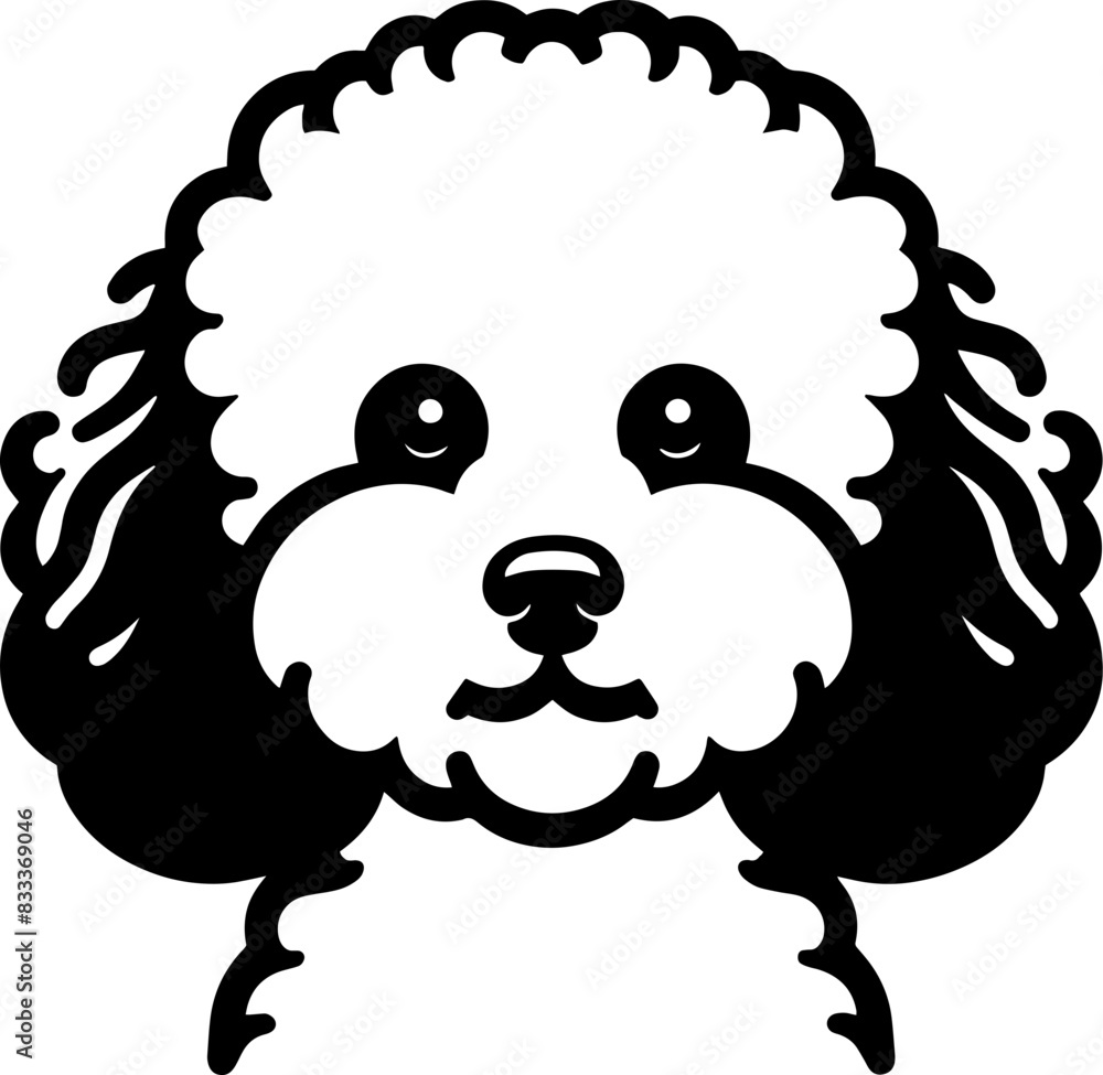 Fototapeta premium Bichon Frise15