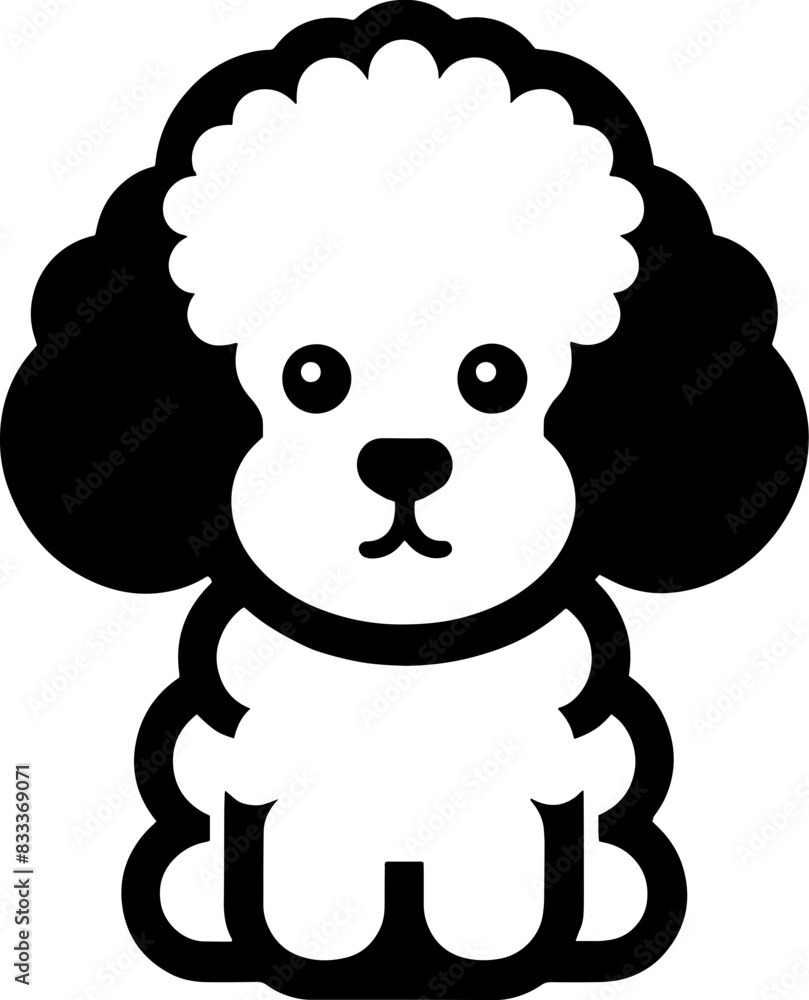 Fototapeta premium Bichon Frise9