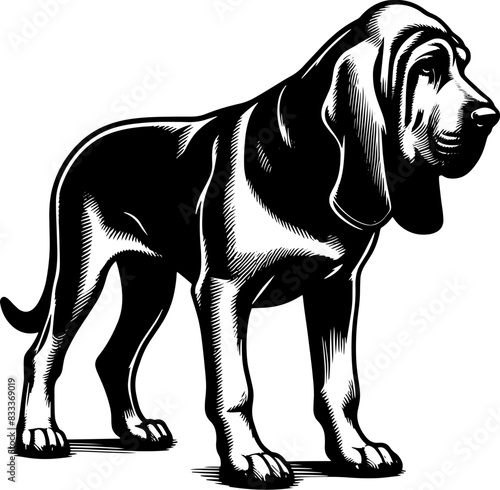 bloodhound2